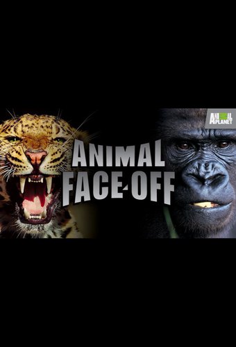 Animal Face-Off