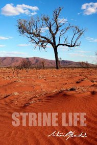 Strine Life