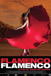 Flamenco Flamenco