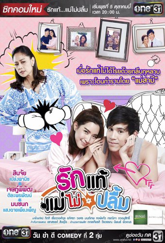 Ruk Tae Mae Mai Pleum