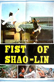 Fist of Shaolin