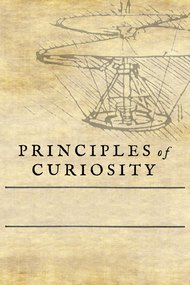 Principles of Curiosity