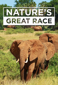 Nature's Great Race