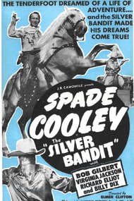 The Silver Bandit