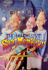 Amazing Live Sea-Monkeys