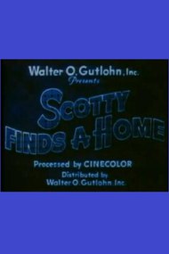 Scotty Finds a Home
