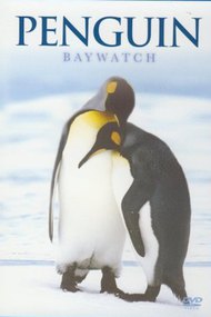Penguin Baywatch Antarctica