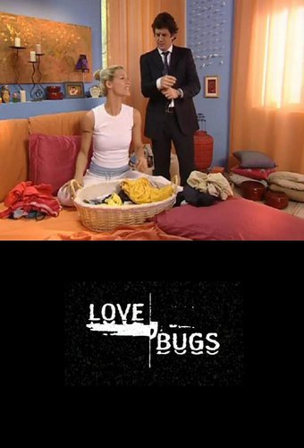 Love Bugs