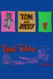 Timid Tabby