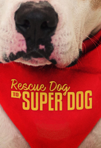 Rescue Dog to Super Dog (US)