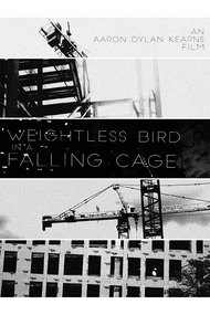 Weightless Bird In A Falling Cage