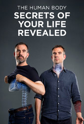The Human Body: Secrets of Your Life Revealed