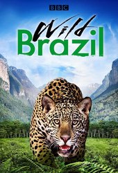 Wild Brazil