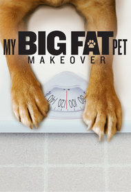 My Big Fat Pet Makeover