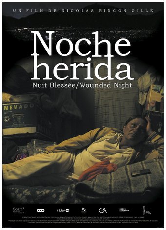 Wounded Night