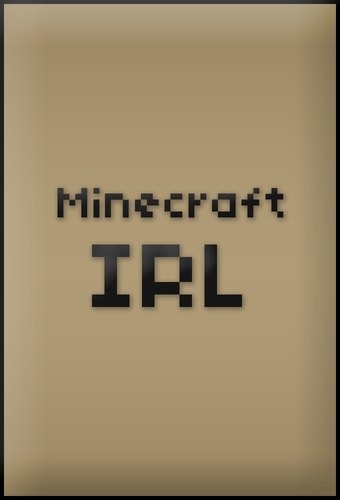 Minecraft In Real Life