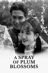 A Spray of Plum Blossoms