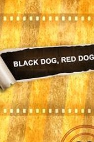 Black Dog, Red Dog