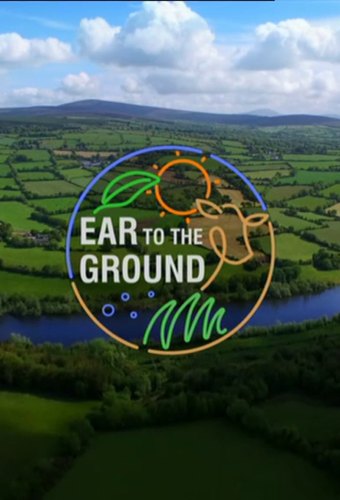 Ear to the Ground