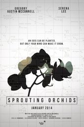 Sprouting Orchids