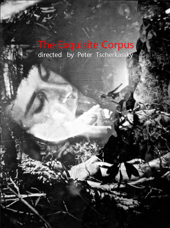 The Exquisite Corpus