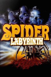 The Spider Labyrinth