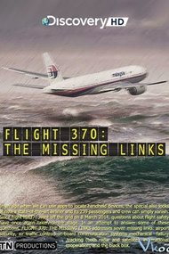 Flight 370: The Missing Links