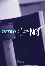 Stray Kids: INTRO: I am NOT