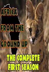 Africa From the Ground Up