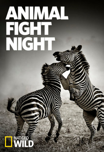 Animal Fight Night