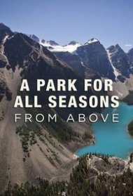 A Park for All Seasons From Above