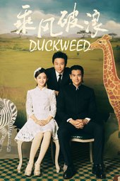 /movies/657040/duckweed