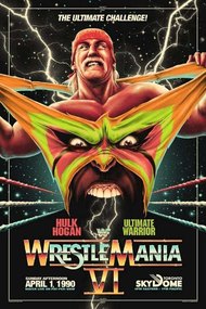 WWE WrestleMania VI