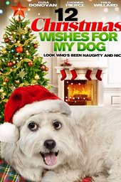 12 Wishes of Christmas