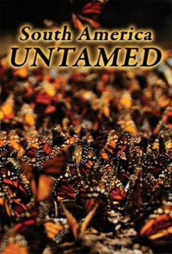South America Untamed