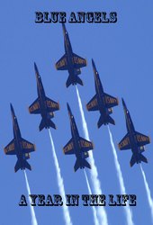 Blue Angels - A Year in the Life