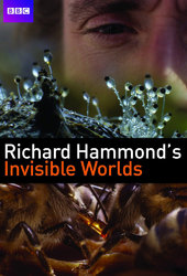 Richard Hammond's Invisible Worlds