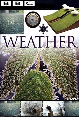 The Weather