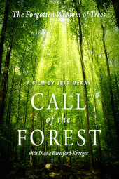 Call of the Forest: The Forgotten Wisdom of Trees