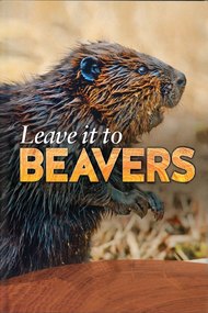 Leave it to Beavers