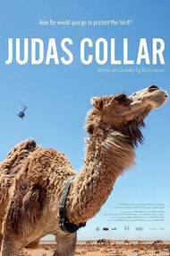 Judas Collar