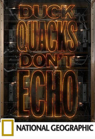 Duck Quacks Don't Echo