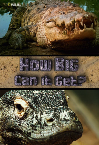How Big Can It Get?