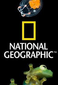 National Geographic - 100 Years