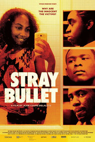 Stray Bullet