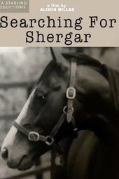 Searching for Shergar
