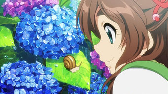 Hydrangea