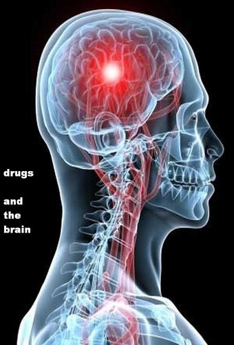Drugs and the Brain