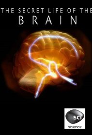 Secret Life of the Brain (Science Channel)