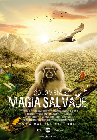 Colombia: Wild Magic